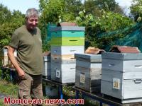 Confronté à la disparition des abeilles