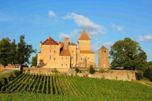 Château de Pierreclos