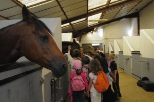 Tous à cheval dimanche 23 septembre