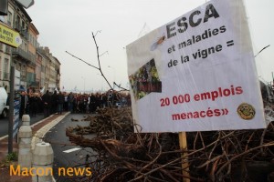 Manifestation des viticulteurs