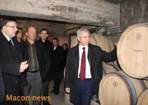 Viticulture