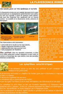 Viticulture