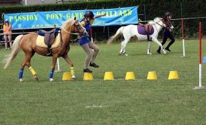 Cluny – Equivallée accueille la coupe d’Europe des clubs de Pony Games
