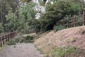 Un violent orage a provoqué de gros dégâts sur la voie verte à hauteur de Saint-Martin-du-Lac