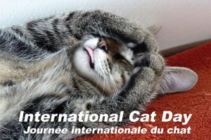 L’année 2021 : les journées internationales, les journées mondiales de …