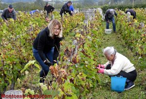 Sanvignes : Association La Vigne