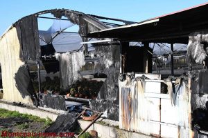 Faits divers à Pouilloux