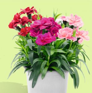 Votre nouveau magasin Villaverde (Montceau – Gourdon)