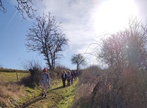 « Vouivre en chemins » (Randonnée)