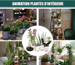 Dans votre magasin Villaverde (Montceau – Gourdon)