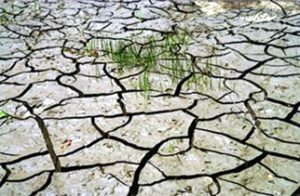 Aggravation de la sécheresse en Saône et Loire