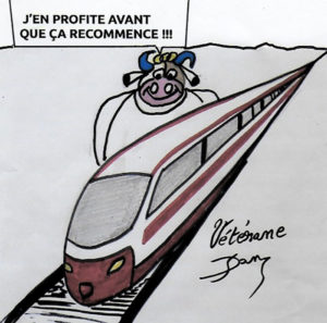 La pensée de la Joyeuse du lundi