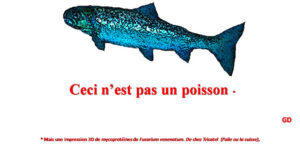 Heureusement que nous sommes tous fous