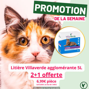 Villaverde (Montceau – Gourdon)