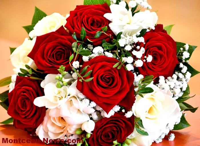mariage-montceau-15092417