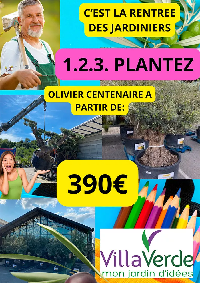 villa-0109248