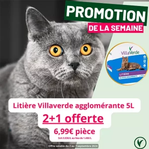 Villaverde (Montceau – Gourdon)