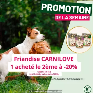 Villaverde (Montceau – Gourdon)