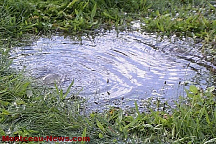bourbince-08102426