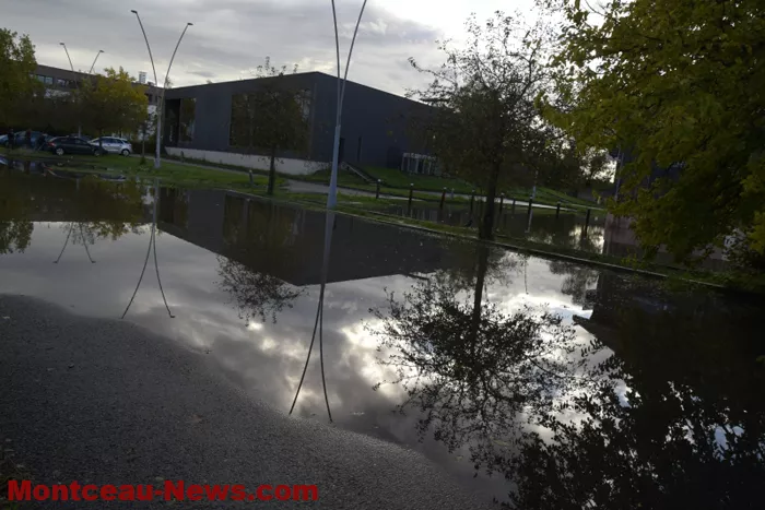 bourbince-0810248