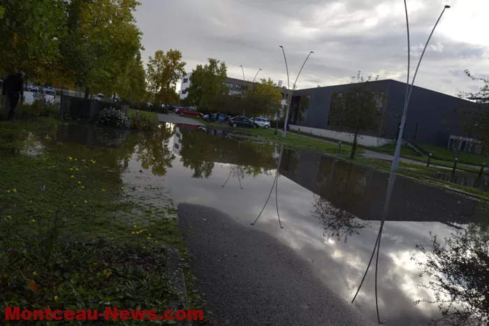 bourbince-0810249