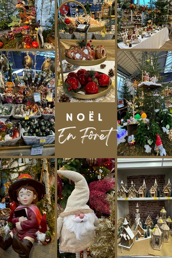 3_noel-en-foret
