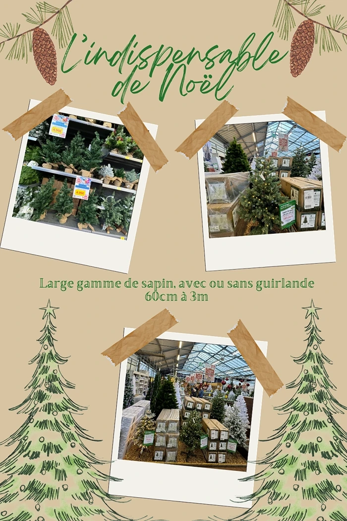4_indispensable-noel
