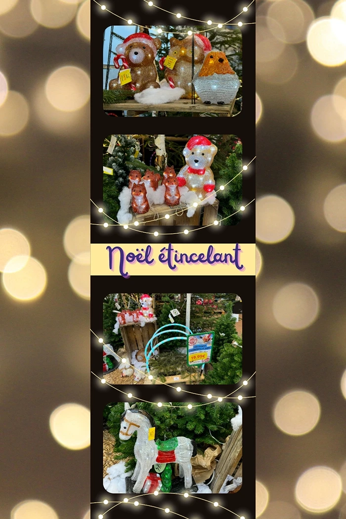 6_noel-etincelant