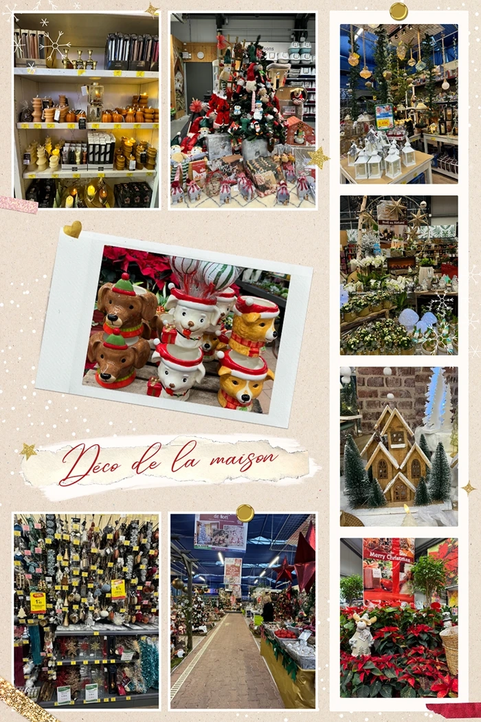 9_montage-deco-de-la-maison