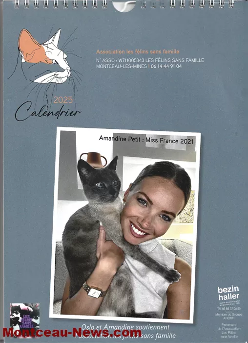pattes-velours-031124161024