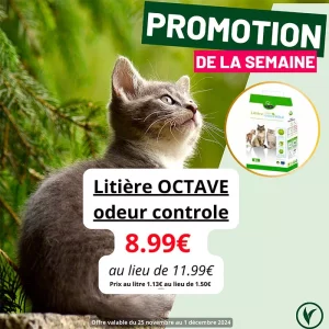 Villaverde (Montceau – Gourdon)