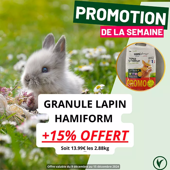 animalerie-071224