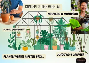 Nouveau à Montceau