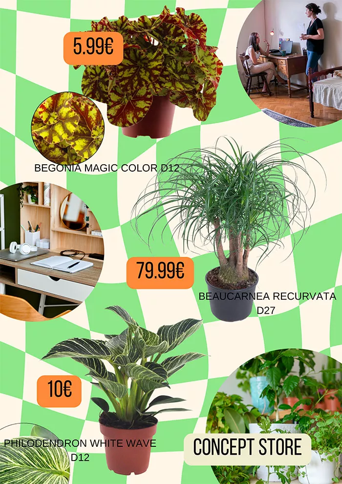 villa-2412243
