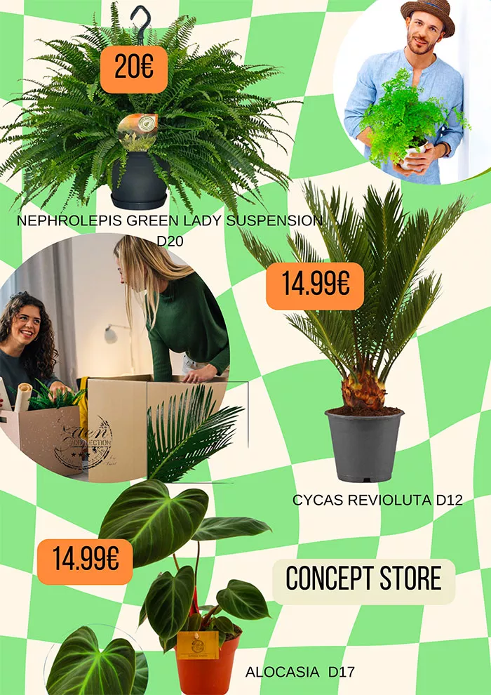 villa-2412244