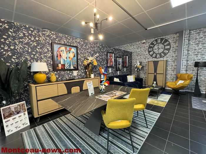 ambiance meubles-080125161031