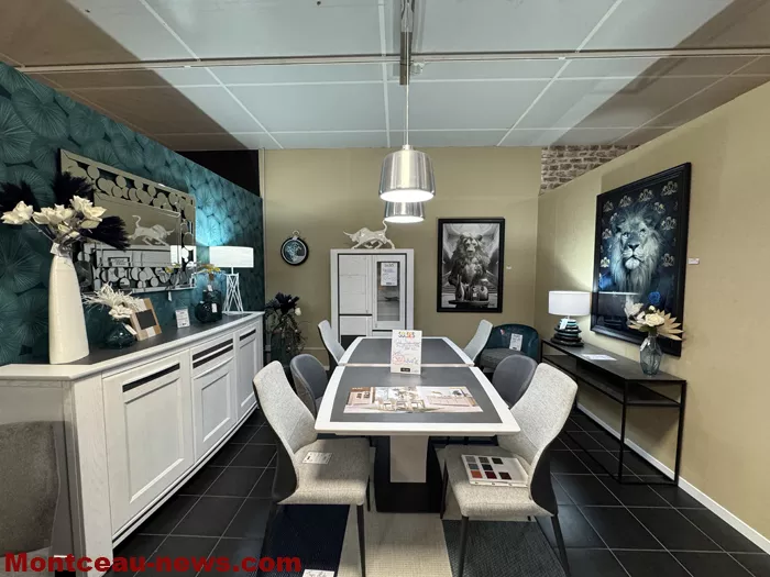 ambiance meubles-080125161038