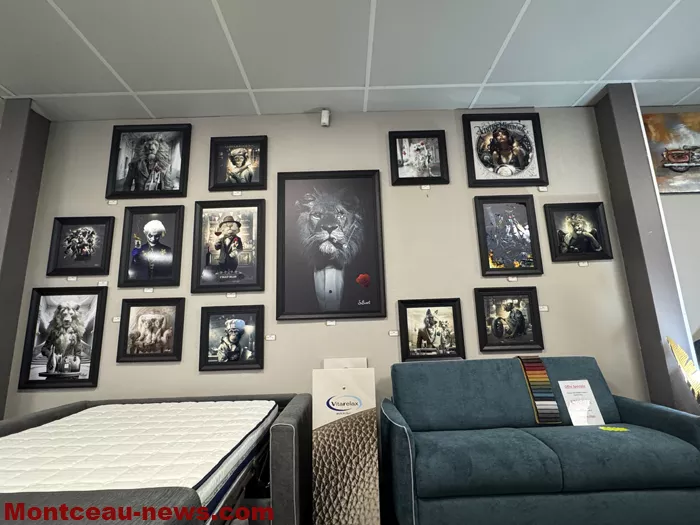 ambiance meubles-080125161047