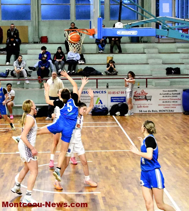 mont-basket-130125161030