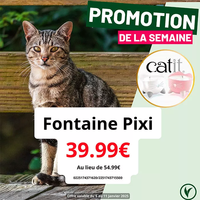 villaverde-chat-051225