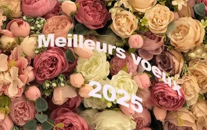 Bonne année 2025 !