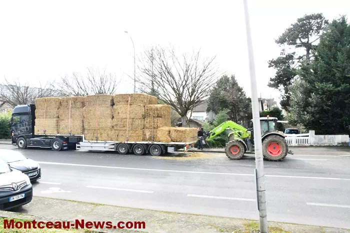 camion-paille-210225161028