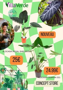 Nouveau à Montceau