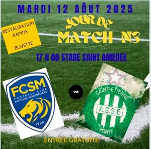 Sanvignes – Football – Match de gala