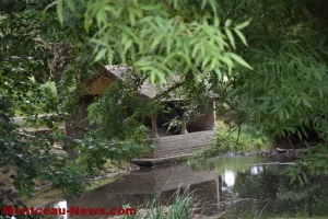 A la recherche des trésors de notre région : le lavoir de Germagny