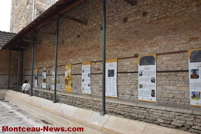 lavoir-st-gengoux-300725161031