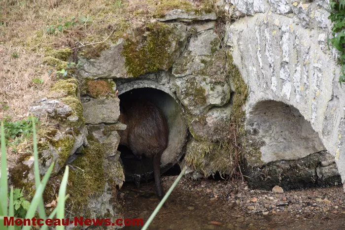 lavoir-st-huruge-300725161031