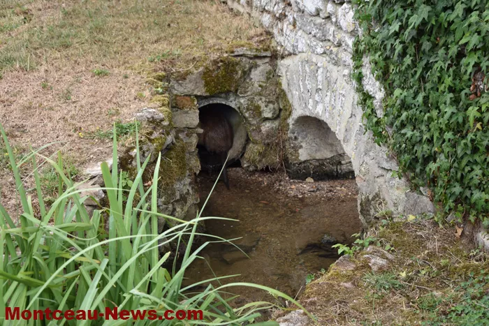 lavoir-st-huruge-300725161032