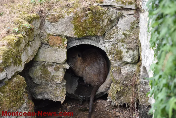 lavoir-st-huruge-300725161033
