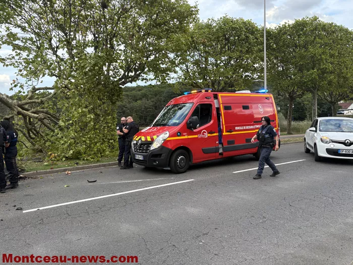 accident-plessis-030925161025